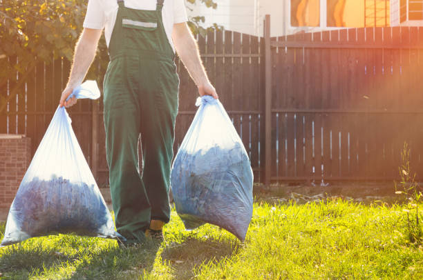 Best Shed Removal  in South Gull Lake, MI